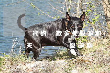 銀行的貸款多久算逾期(銀行貸款利息超過幾天、會算逾期嗎)
